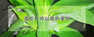 莲花竹可以放卧室吗,第1图