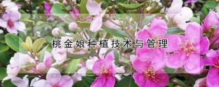 桃金娘种植技术与管理,第1图