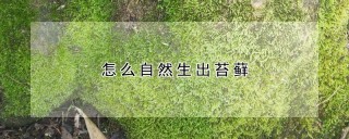 怎么自然生出苔藓,第1图