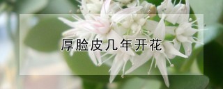 厚脸皮几年开花,第1图