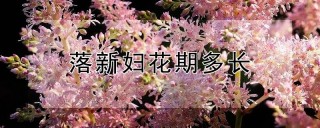 落新妇花期多长,第1图