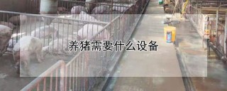 养猪需要什么设备,第1图