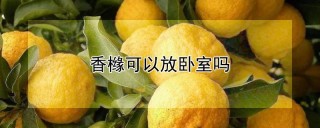 香橼可以放卧室吗,第1图