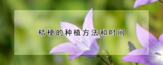 桔梗的种植方法和时间,第1图