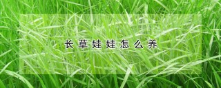 长草娃娃怎么养,第1图