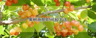 果树施肥时间和方法,第1图