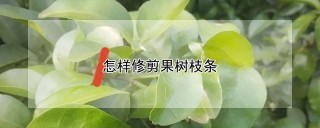 怎样修剪果树枝条,第1图