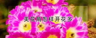 美花角怎样开花多,第1图