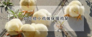 如何给小鸡做保暖鸡窝,第1图